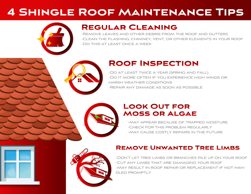 Follow These 4 Shingle Roof Maintenance Tips for a Long-Lasting Roof