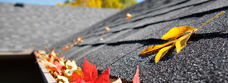 Shingle roof maintenance