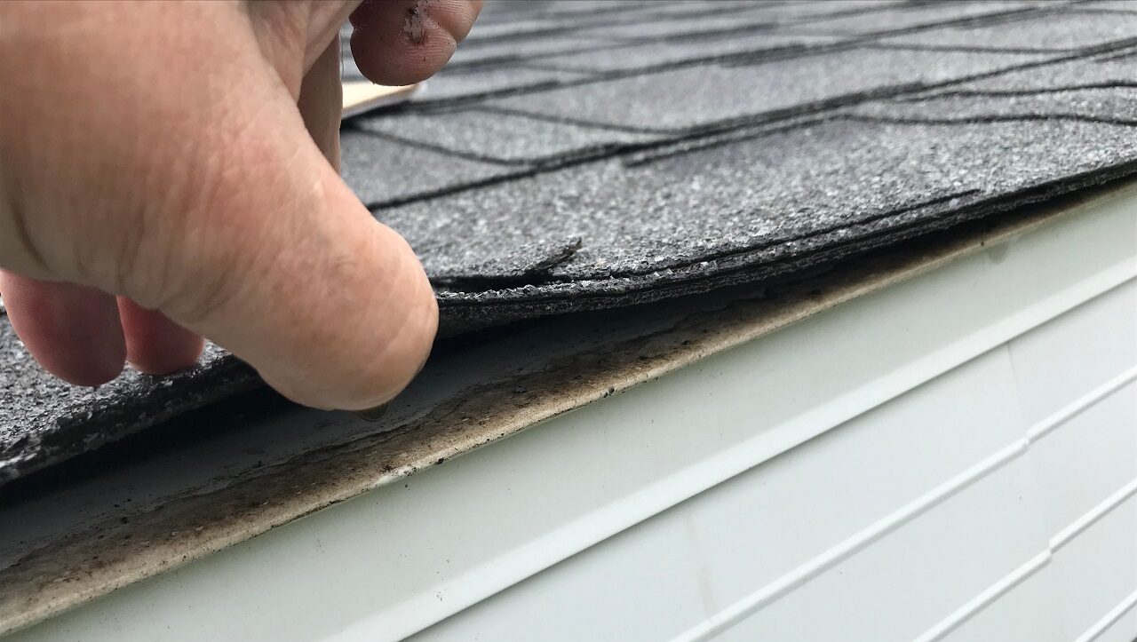 Do a roof inspection