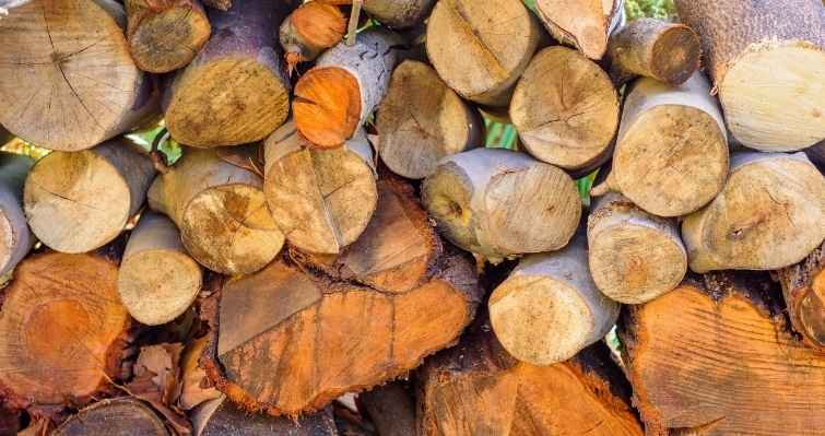 Unseasoned firewood causes glazed creosote
